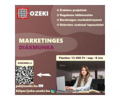 Junior online marketing asszisztens – Diákmunka