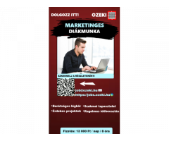 Junior online marketing asszisztens - Diákmunka ősztől