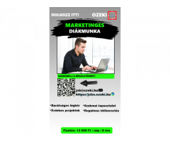 Junior online marketing asszisztens - Diákmunka ősztől