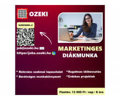 Junior online marketing asszisztens - Diákmunka ősztől