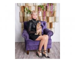 Csodálatos szervál, szavanna és karakál kiscicák elérhetőek